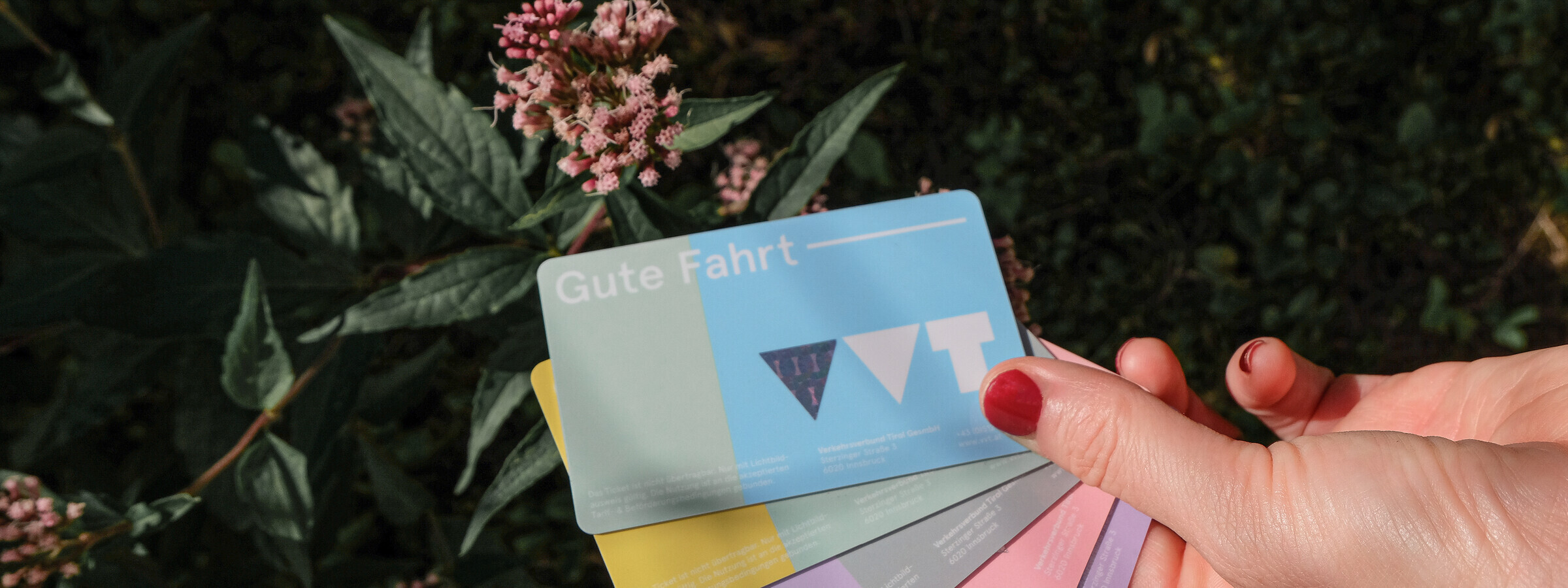 Eine Hand mit rotem Nagellack ist zu sehen, welche eine Reihe an bunten VVT Klimatickets in der Hand hält. 